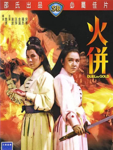 五月天婷婷精品视频